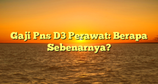 CMMA BLOG News | Gaji Pns D3 Perawat: Berapa Sebenarnya?