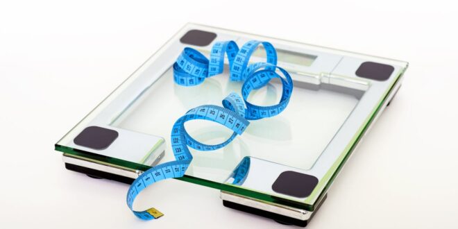 CMMA BLOG News | 6 Aplikasi Jadwal Makan Untuk Menambah Berat Badan Agar Lebih Teratur