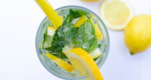 CMMA BLOG News | Apakah Baik Minum Infused Water Lemon Setiap Hari? Ini Penjelasan Lengkapnya